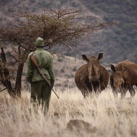 Elewana Lewa Safari Camp Ξενοδοχείο Timau Εξωτερικό φωτογραφία