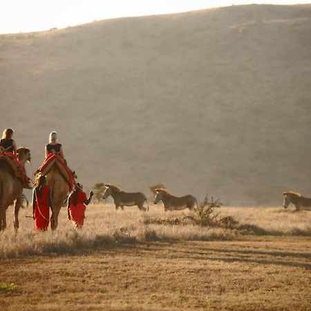Elewana Lewa Safari Camp Ξενοδοχείο Timau Εξωτερικό φωτογραφία