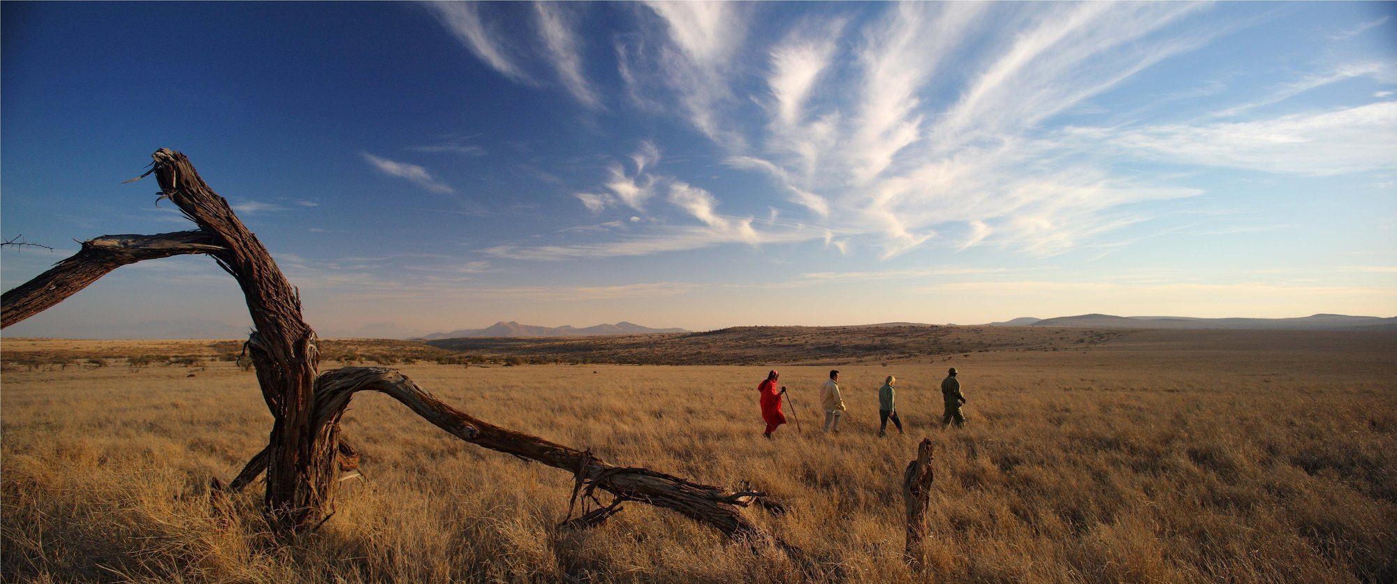 Elewana Lewa Safari Camp Ξενοδοχείο Timau Εξωτερικό φωτογραφία