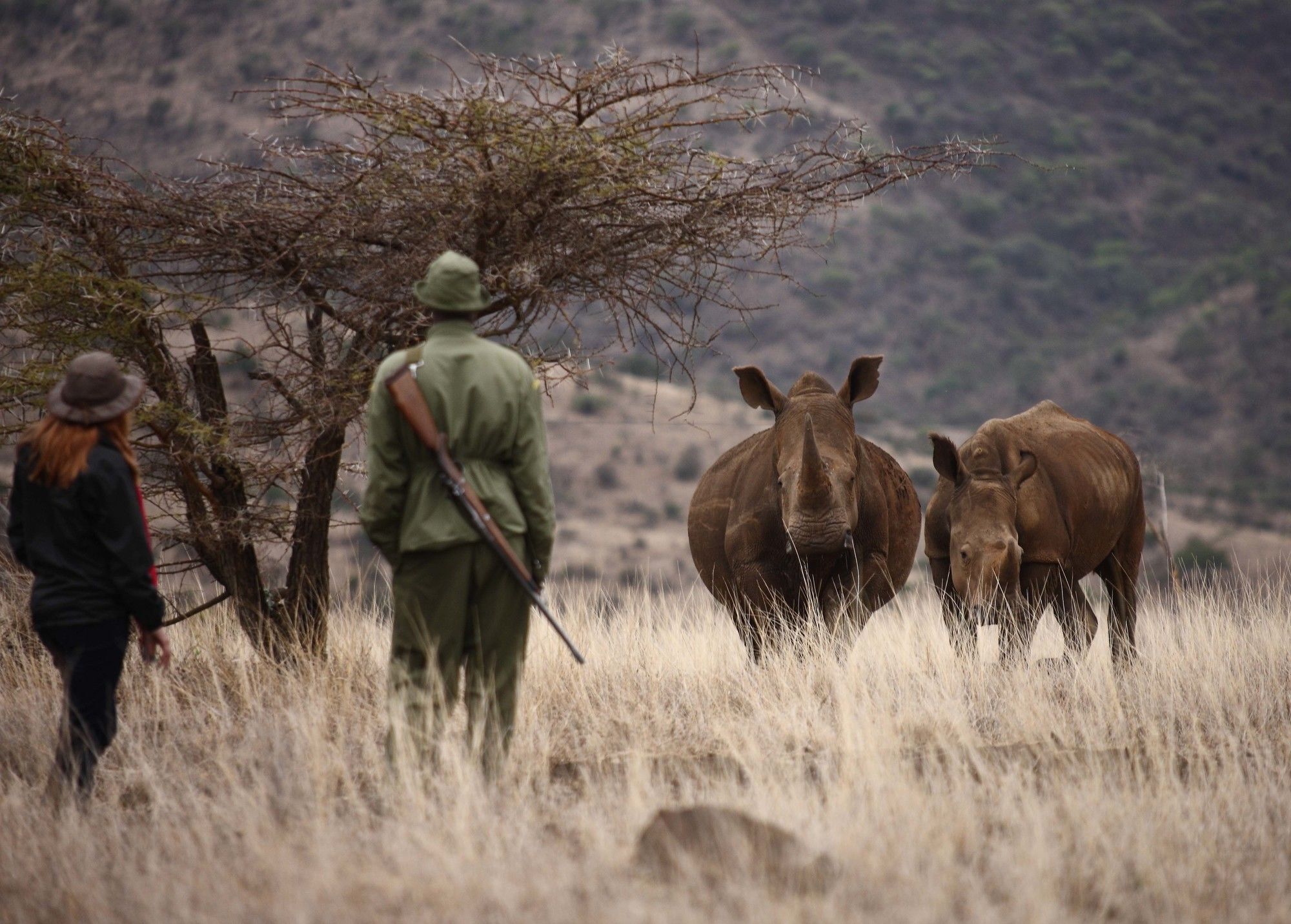Elewana Lewa Safari Camp Ξενοδοχείο Timau Εξωτερικό φωτογραφία