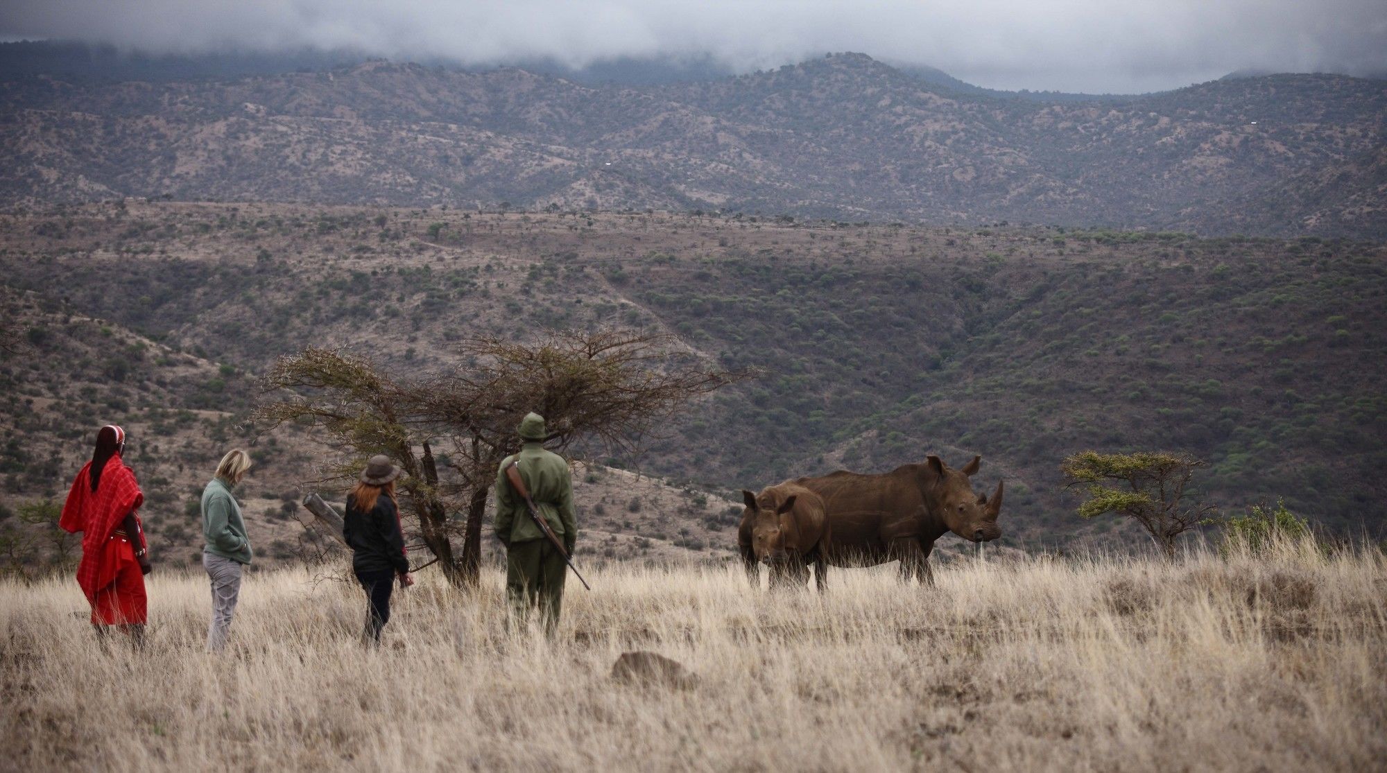 Elewana Lewa Safari Camp Ξενοδοχείο Timau Εξωτερικό φωτογραφία