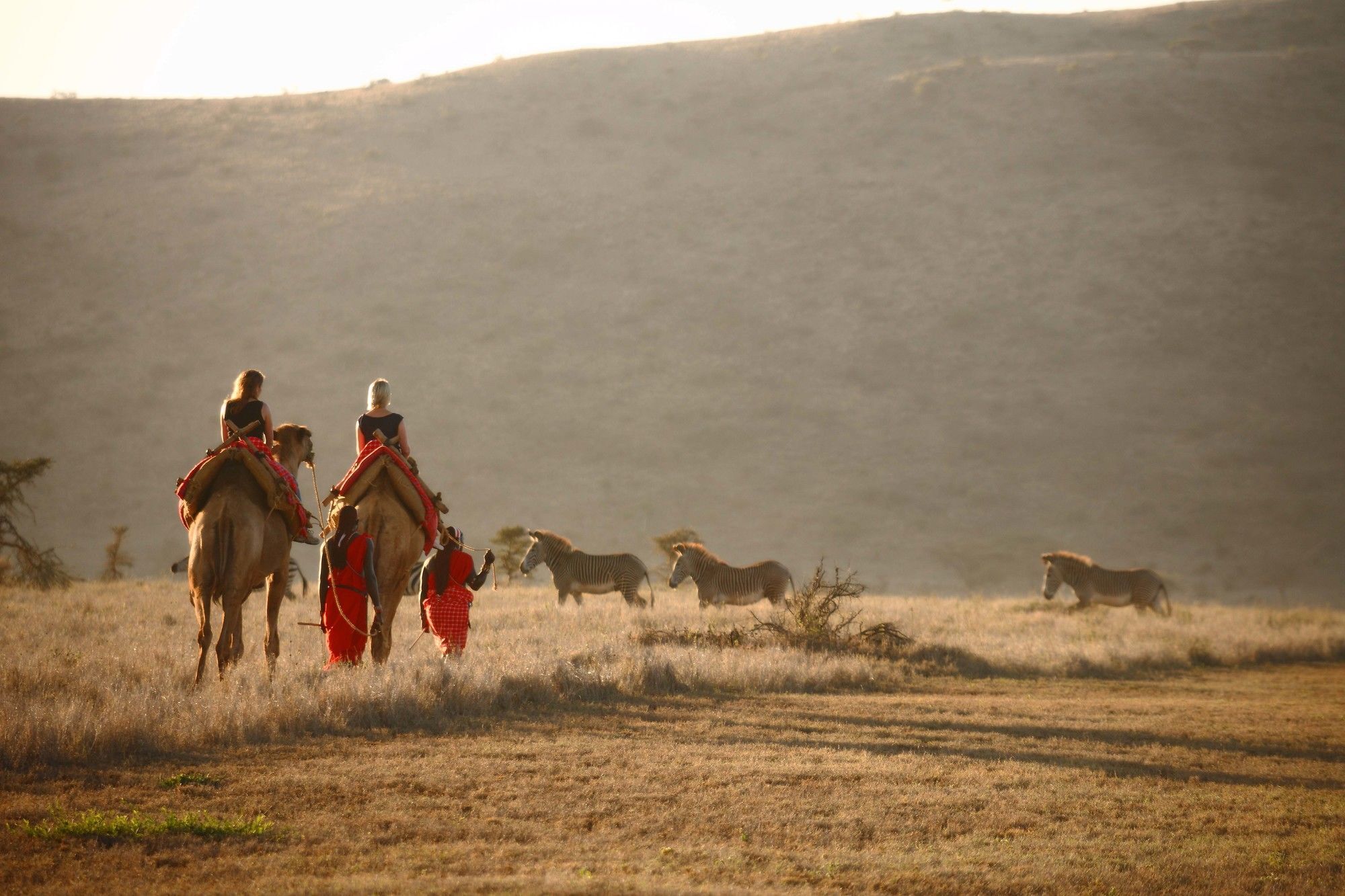 Elewana Lewa Safari Camp Ξενοδοχείο Timau Εξωτερικό φωτογραφία