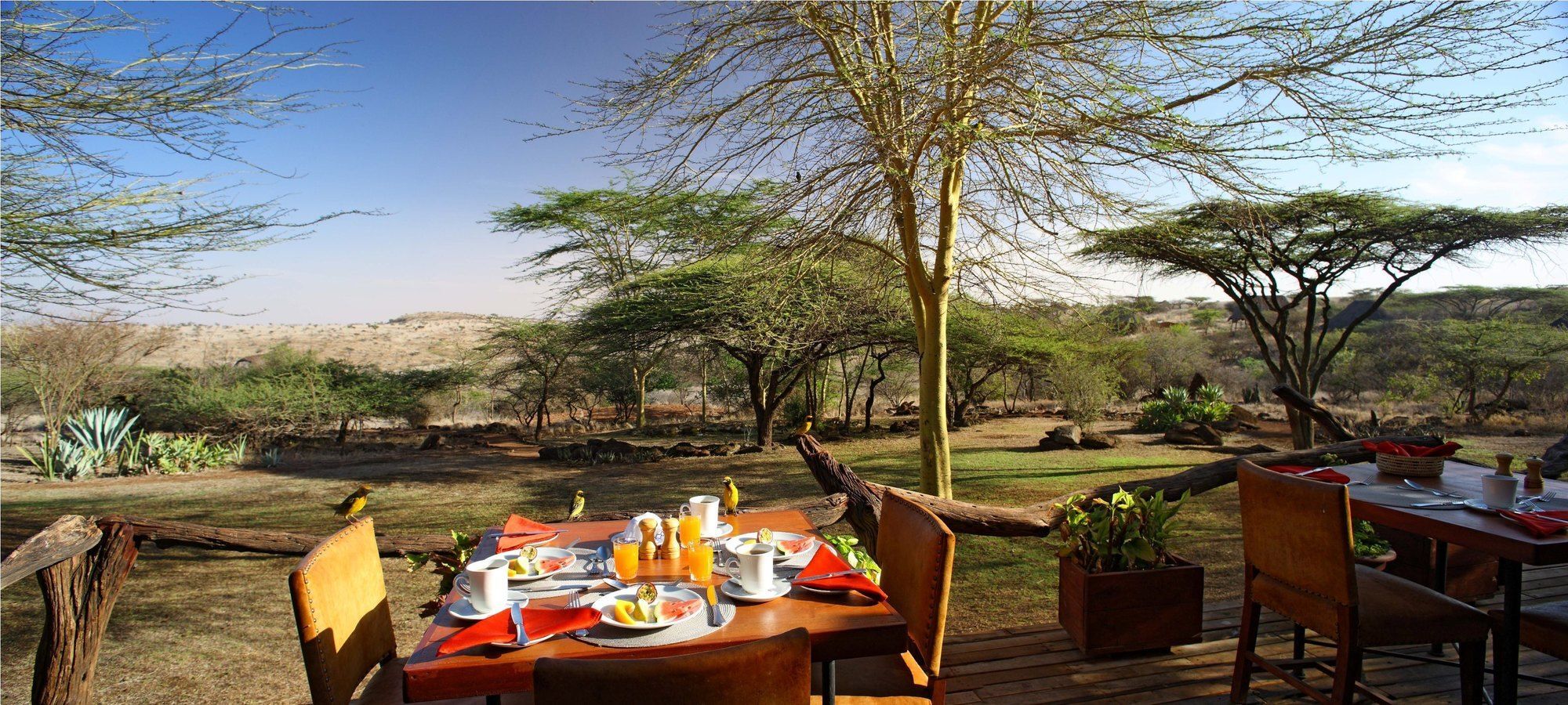 Elewana Lewa Safari Camp Ξενοδοχείο Timau Εξωτερικό φωτογραφία